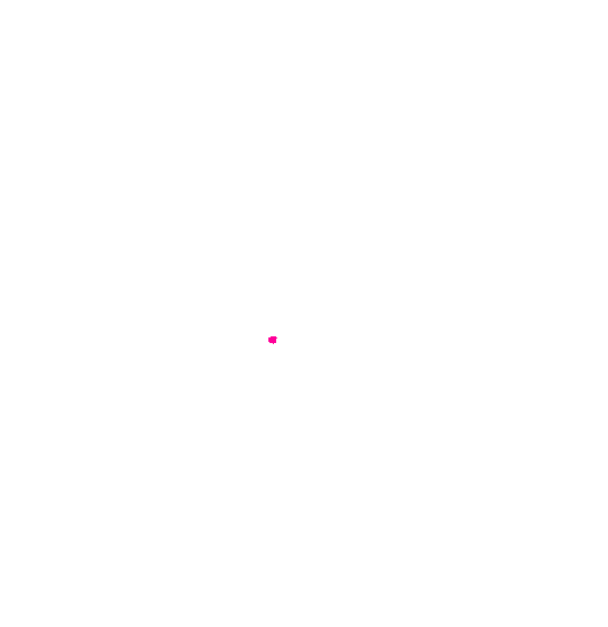 Plan du quartier Wazemmes, Lille